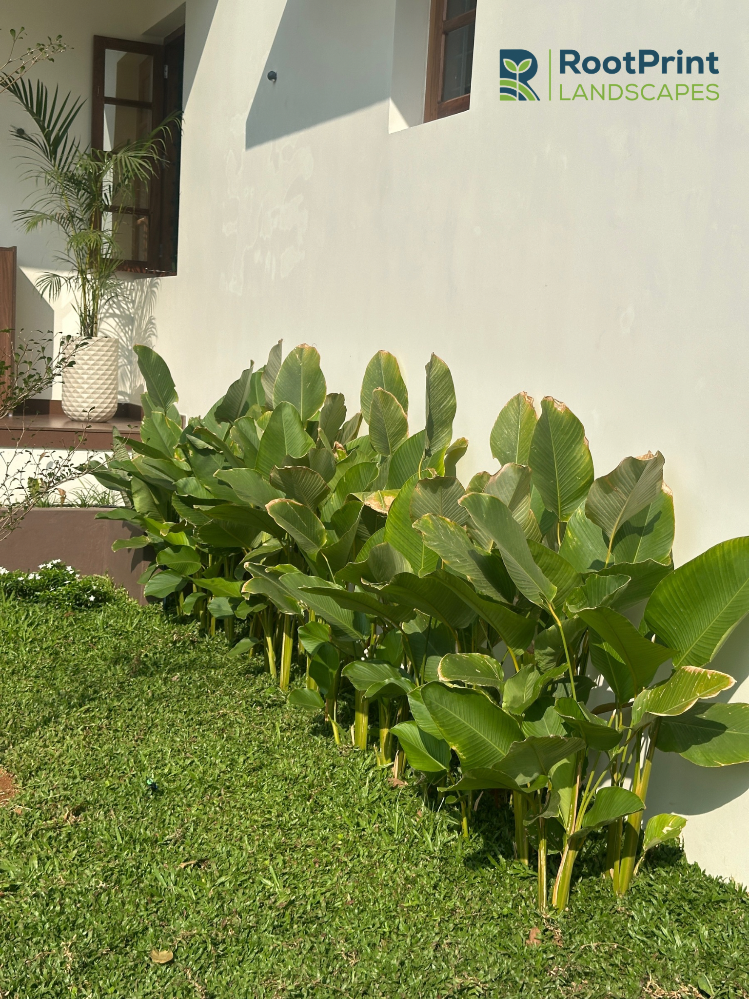 Garden transformation project by RootPrint Landscapes